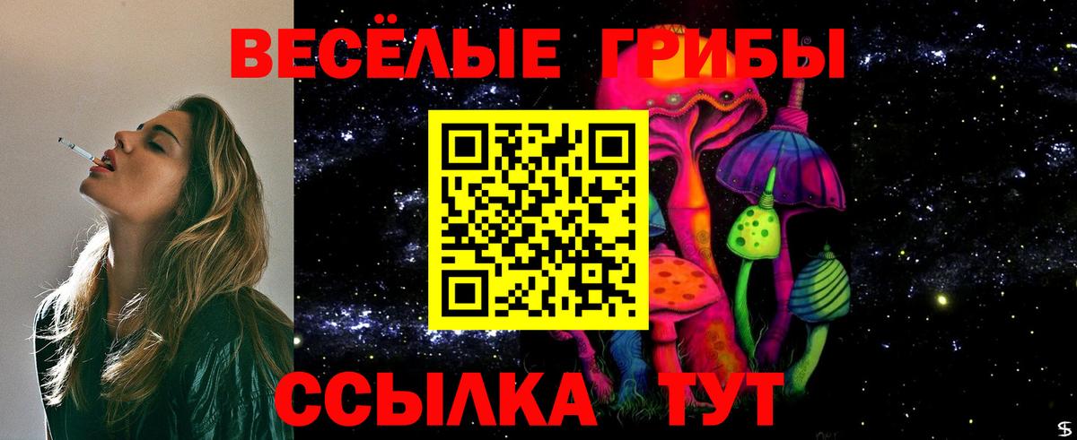 Галлюциногенные грибы Cubensis Моздок