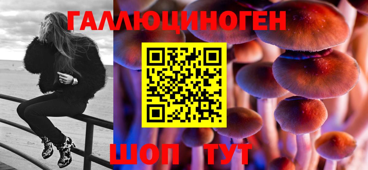 Псилоцибиновые грибы GOLDEN TEACHER  Галлюциногенные грибы MAGIC MUSHROOMS  Моздок  Вход с VPN 